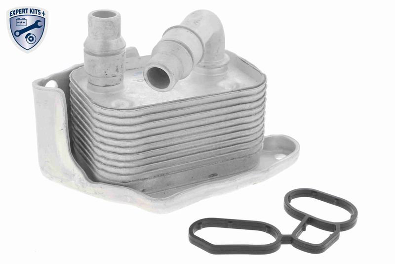 Охолоджувач оливи, моторна олива VEMO V20-60-0031