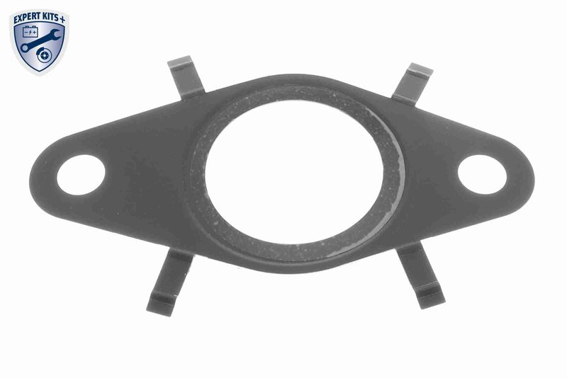 Gasket, EGR valve VEMO V24-63-0038