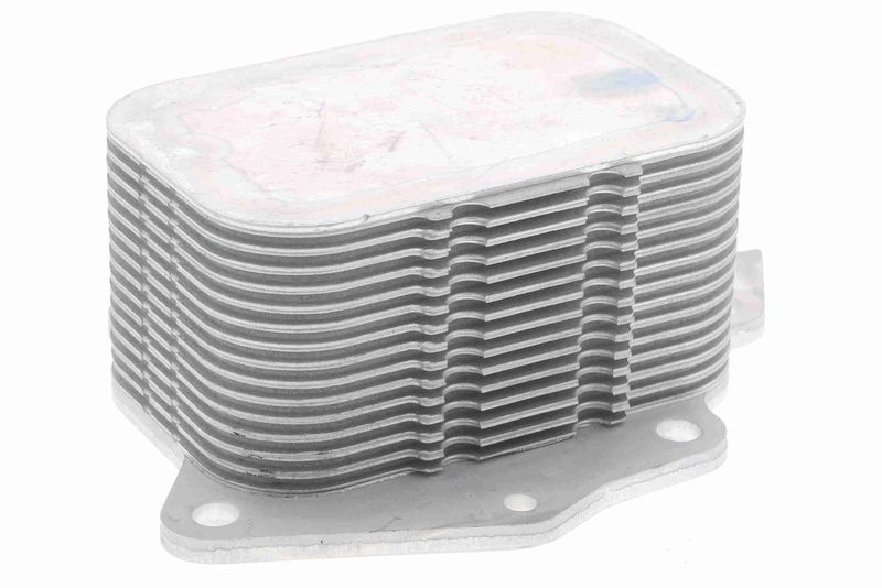 Oil Cooler, engine oil VEMO V25-60-0026