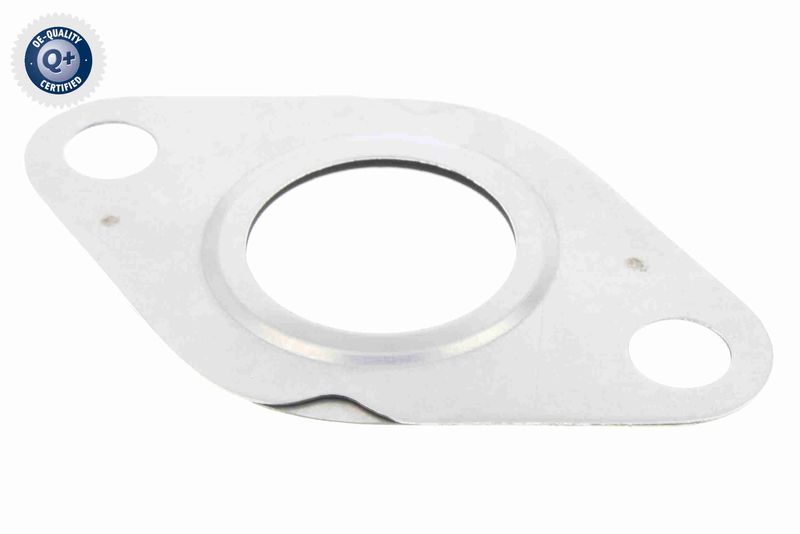 Gasket, EGR valve VEMO V99-99-0020