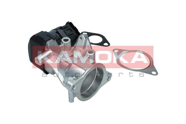 EGR Valve KAMOKA 19046