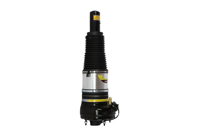 Air Suspension Strut KAMOKA 2070083