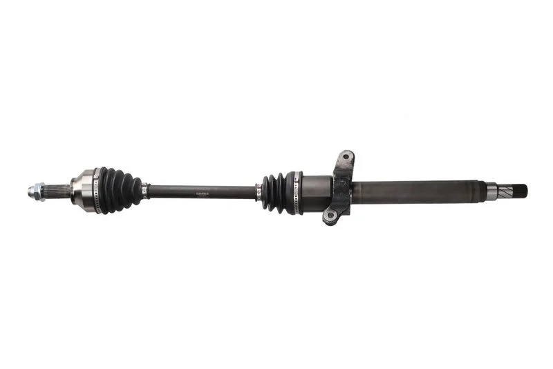 Pusašis kamoka 5010963
