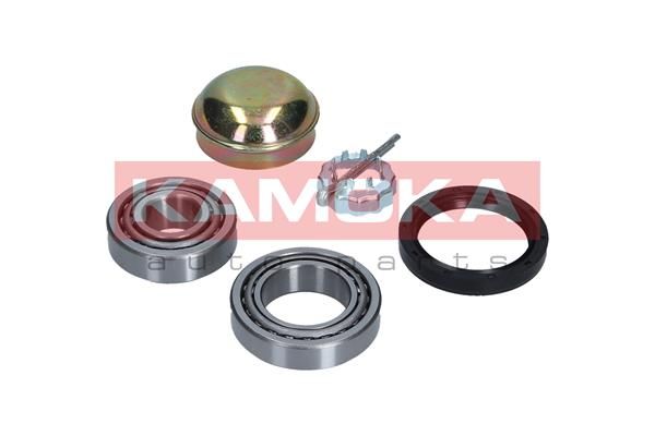 Wheel Bearing Kit KAMOKA 5600003