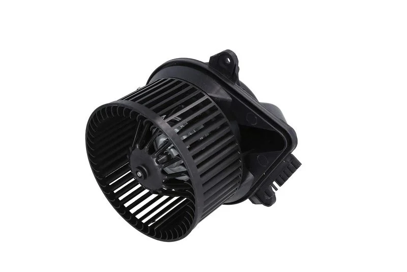 Vidaus pūtiklis KAMOKA 7790023