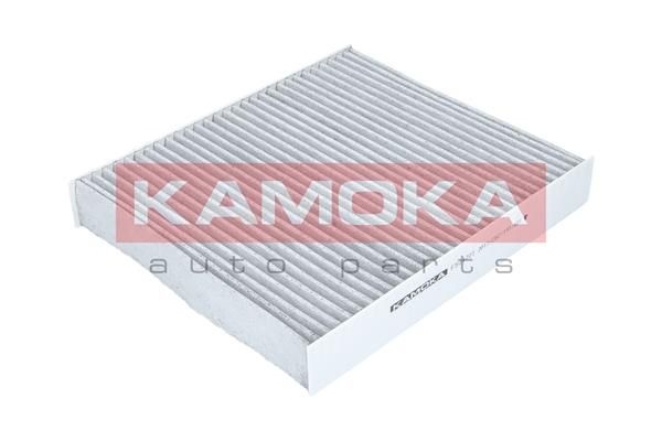 Filtras, salono oras KAMOKA F504701