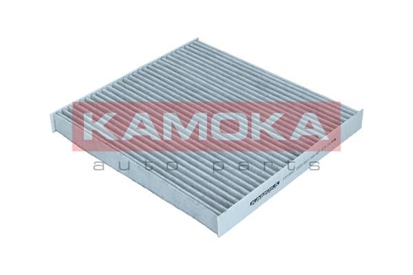 Filtras, salono oras KAMOKA F515501