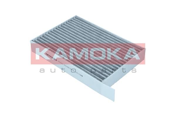 Filtras, salono oras KAMOKA F519301