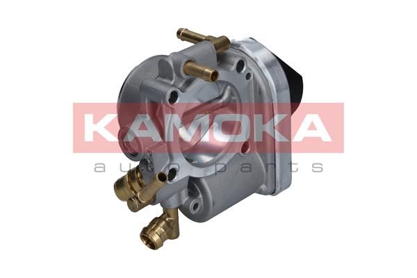 Throttle Body KAMOKA 112019