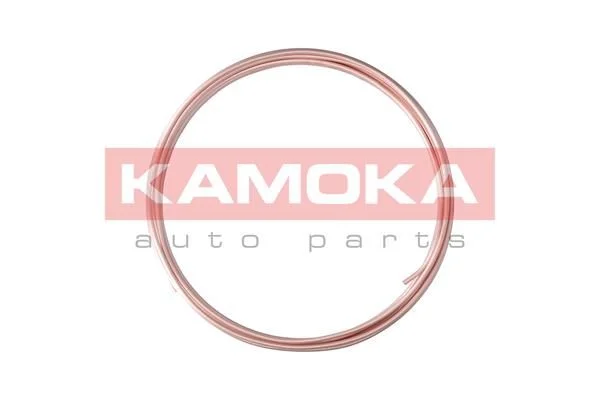 Stabdžių žarnelės KAMOKA 1173008