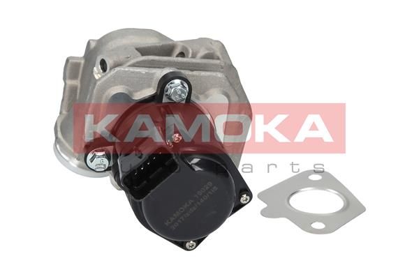 EGR Valve KAMOKA 19029