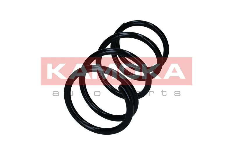 Spyruoklė kamoka 2110499