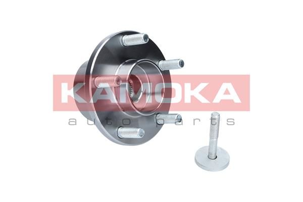 Комплект колісних підшипників KAMOKA 5500065