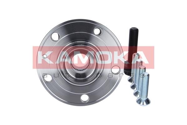 Wheel Bearing Kit KAMOKA 5500069