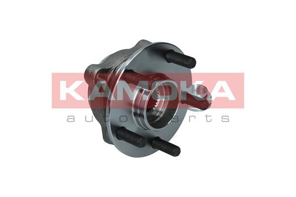 Wheel Bearing Kit KAMOKA 5500349