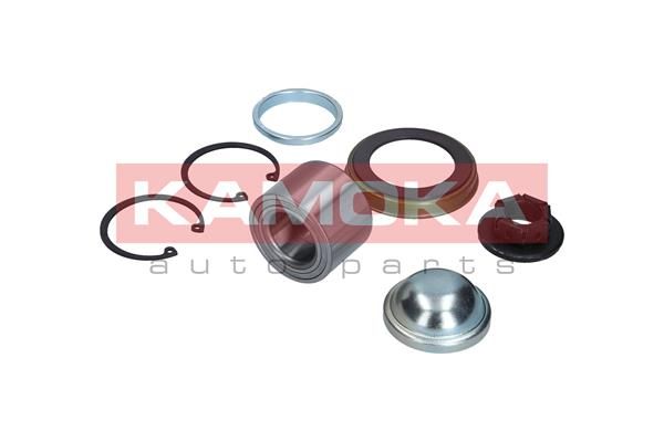 Wheel Bearing Kit KAMOKA 5600012