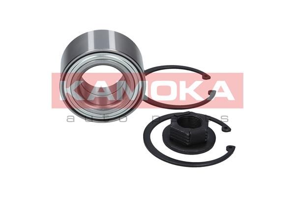 Wheel Bearing Kit KAMOKA 5600016