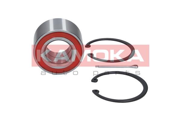 Wheel Bearing Kit KAMOKA 5600022