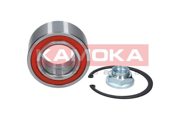 Wheel Bearing Kit KAMOKA 5600041