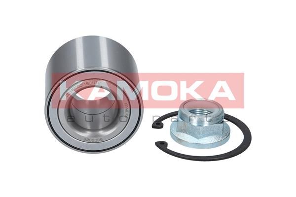 Wheel Bearing Kit KAMOKA 5600066