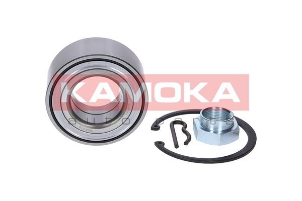 Wheel Bearing Kit KAMOKA 5600076