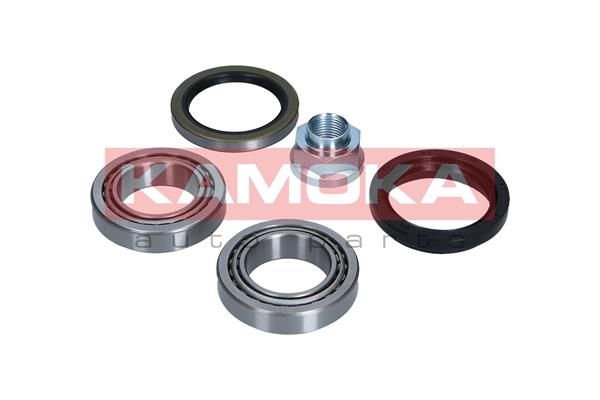 Wheel Bearing Kit KAMOKA 5600091