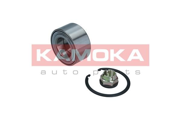 Комплект колісних підшипників KAMOKA 5600131