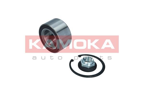 Wheel Bearing Kit KAMOKA 5600143