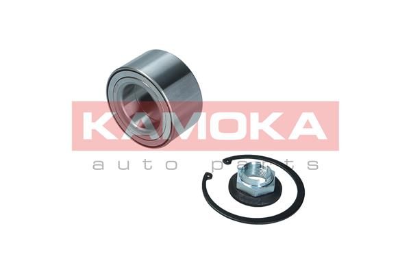 Wheel Bearing Kit KAMOKA 5600146