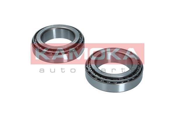 Wheel Bearing Kit KAMOKA 5600149