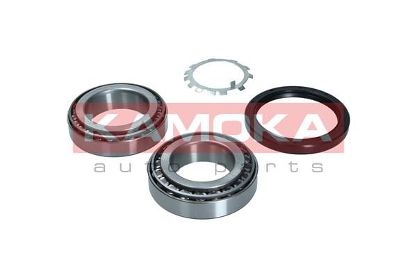 Wheel Bearing Kit KAMOKA 5600191