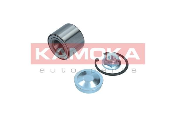 Wheel Bearing Kit KAMOKA 5600214