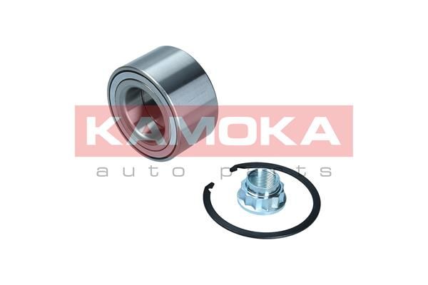 Wheel Bearing Kit KAMOKA 5600229