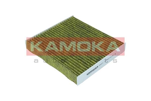 Filtras, salono oras KAMOKA 6080072