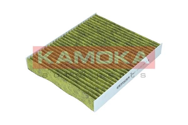 Filtras, salono oras KAMOKA 6080085