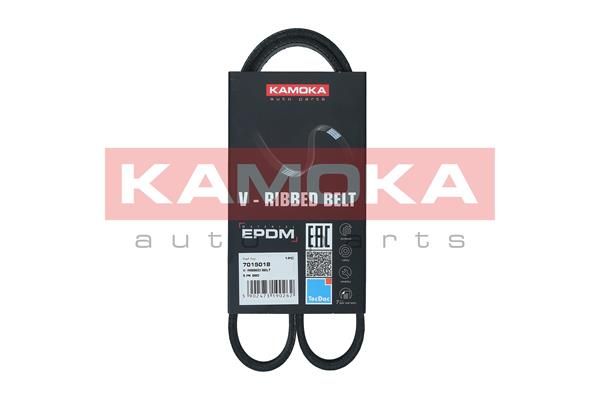 V-Ribbed Belt KAMOKA 7015018