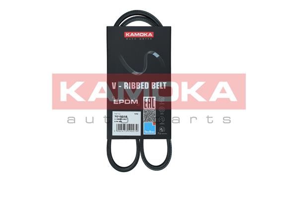 V-Ribbed Belt KAMOKA 7015019