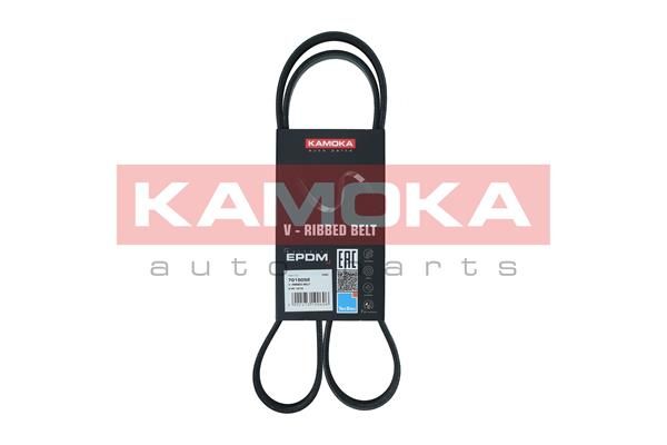 V-Ribbed Belt KAMOKA 7015052