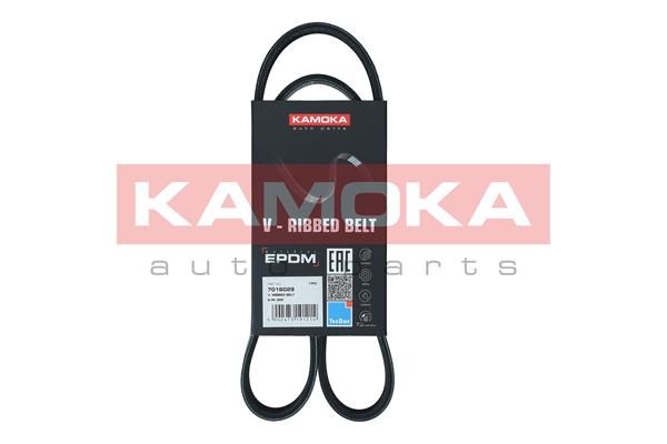 V-Ribbed Belt KAMOKA 7016029