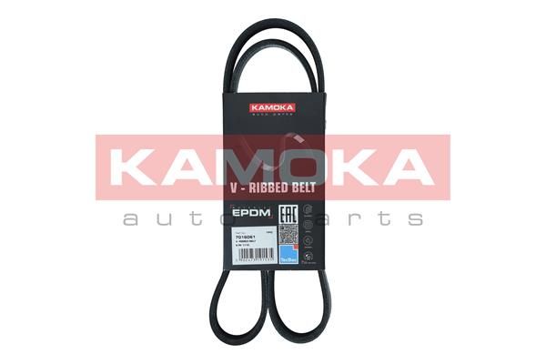 V-Ribbed Belt KAMOKA 7016061