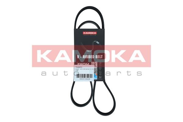 V-Ribbed Belt KAMOKA 7016073