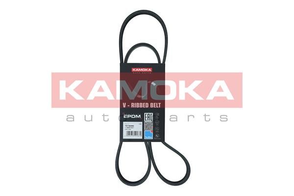 V-Ribbed Belt KAMOKA 7016095