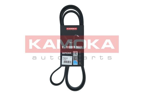 V-Ribbed Belt KAMOKA 7016179