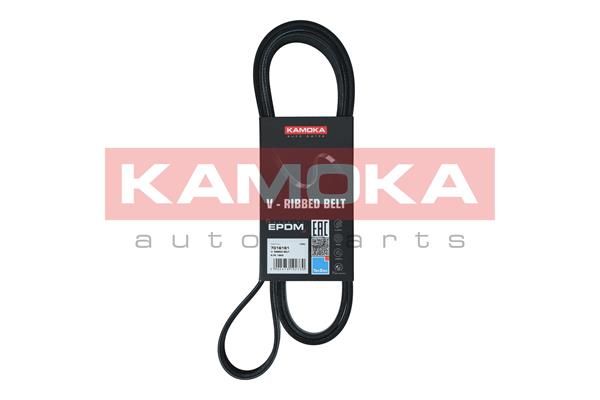 V-Ribbed Belt KAMOKA 7016181