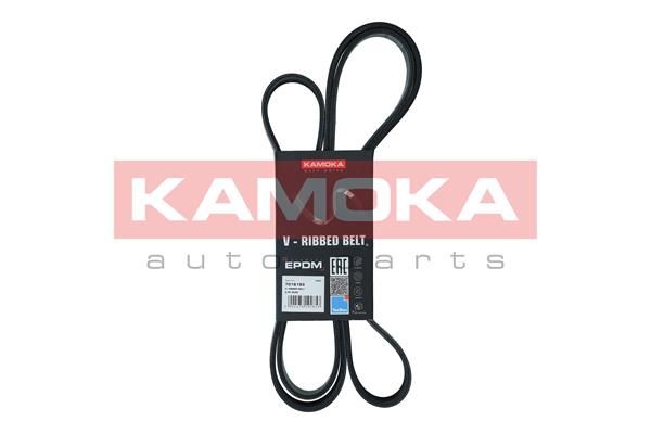 V-Ribbed Belt KAMOKA 7016193