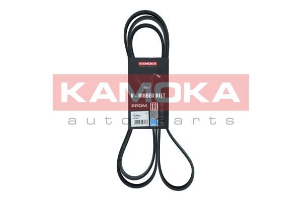 V-Ribbed Belt KAMOKA 7016221