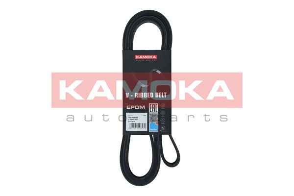 V-Ribbed Belt KAMOKA 7016235