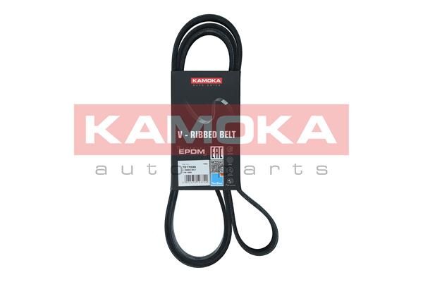 V-Ribbed Belt KAMOKA 7017035