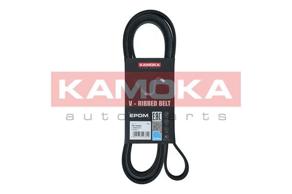 V-Ribbed Belt KAMOKA 7017045