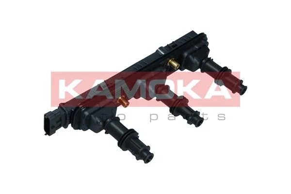 Ritė, uždegimas KAMOKA 7120004